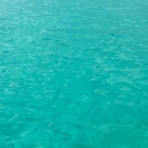 Meet your Posher, Elena